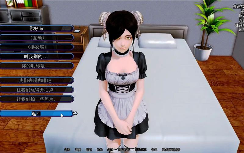 后宫大酒店绅士游戏剧情攻略？关键技巧快速通关！