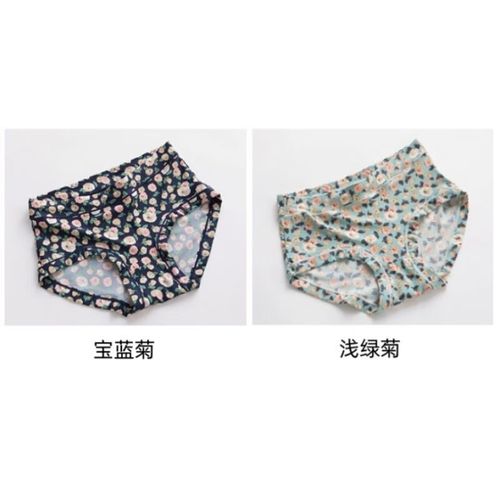 菊玩少女更新地址常见问题?解决方法一键搞定麻烦!