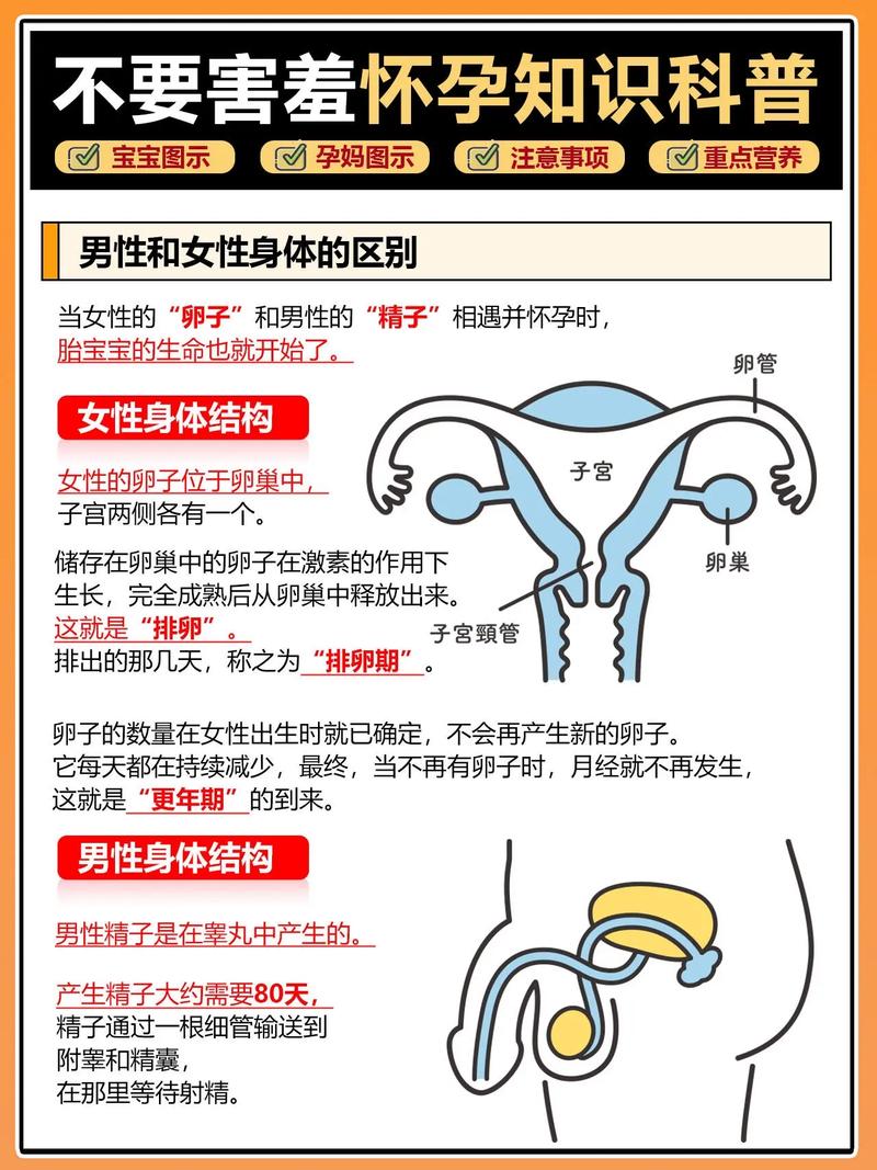 如何获取怀孕无双最新版本?教你安全下载不卡顿