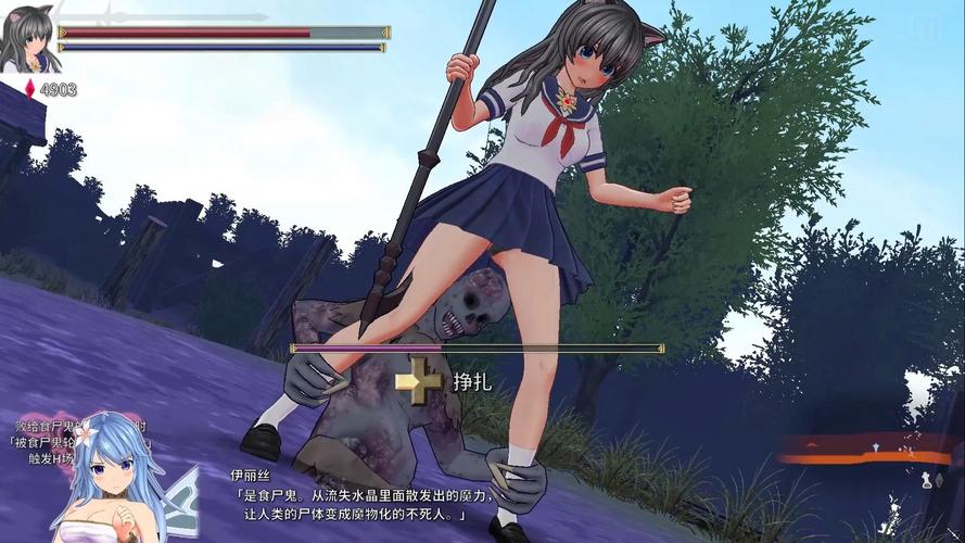 圣骑士莉卡物语最新版本是多少?(版本比较避免错误升级)